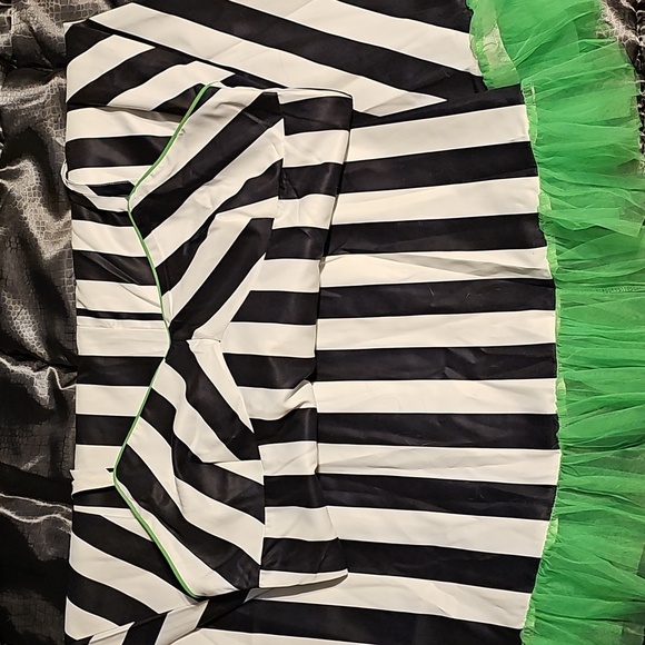 Retro Sage Beetlejuice Dress, XXL, BNWT - Picture 2 of 3